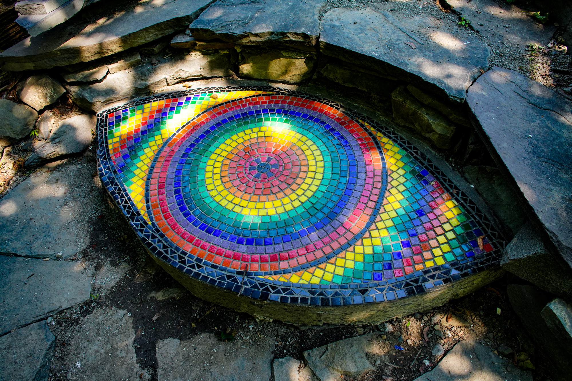 Eye Mosaic by Cory Glory